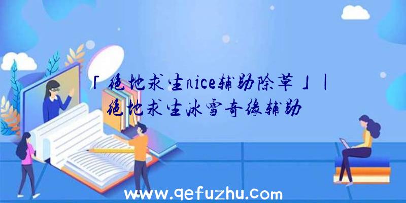 「绝地求生nice辅助除草」|绝地求生冰雪奇缘辅助